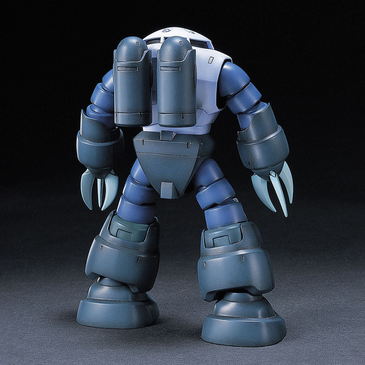 HG 1/144 Z'Gok